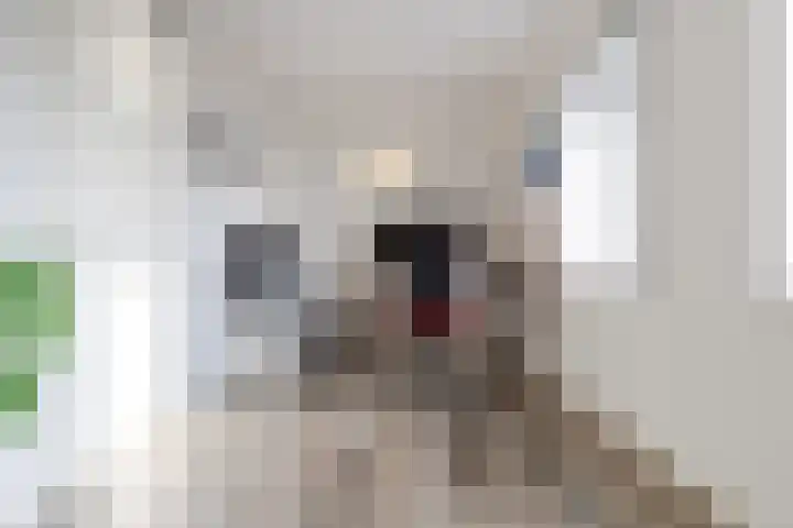 Isidorusplein 9 Beek en Donk thumbnail 23