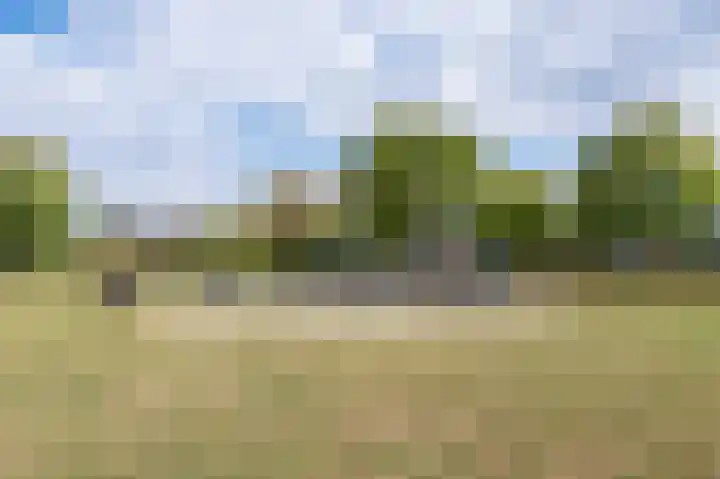 Isidorusweg 41 Eindhoven thumbnail 60