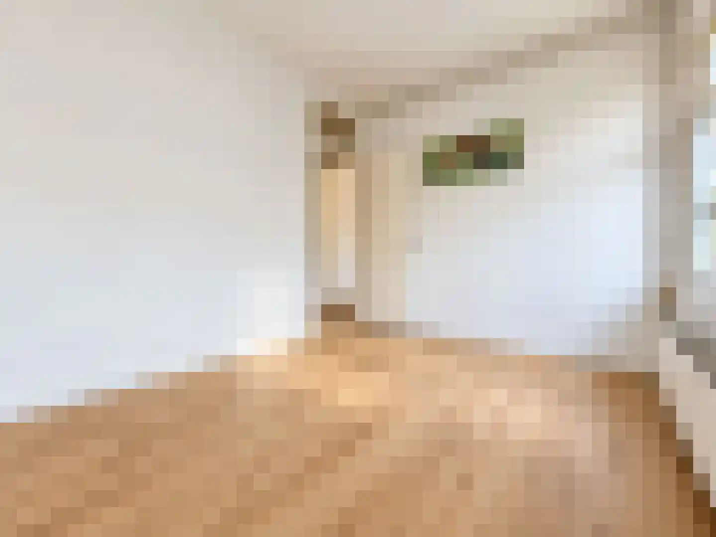 Isingstraat 115 A Den Haag thumbnail 15