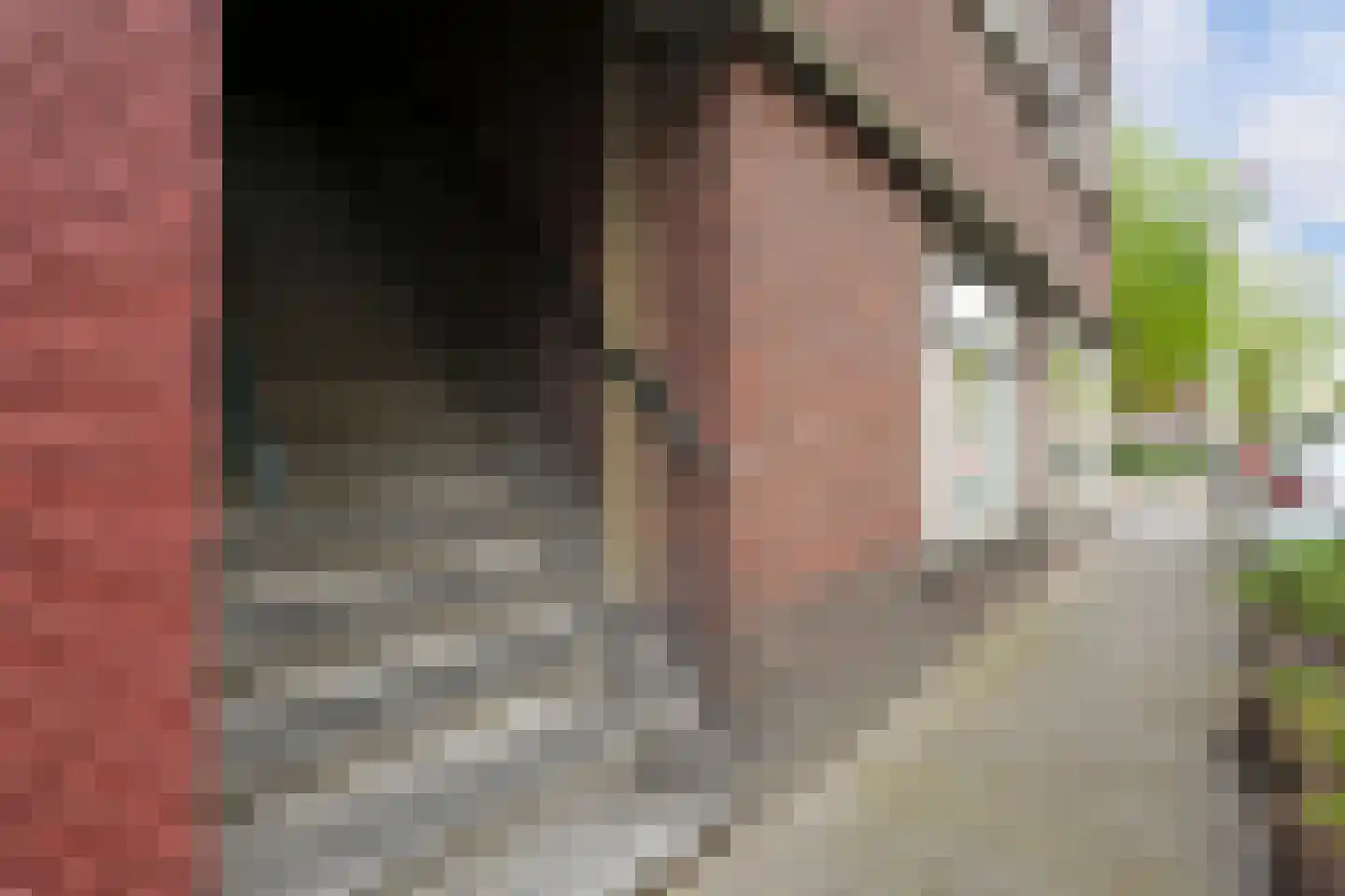 Isingstraat 196 Den Haag thumbnail 4
