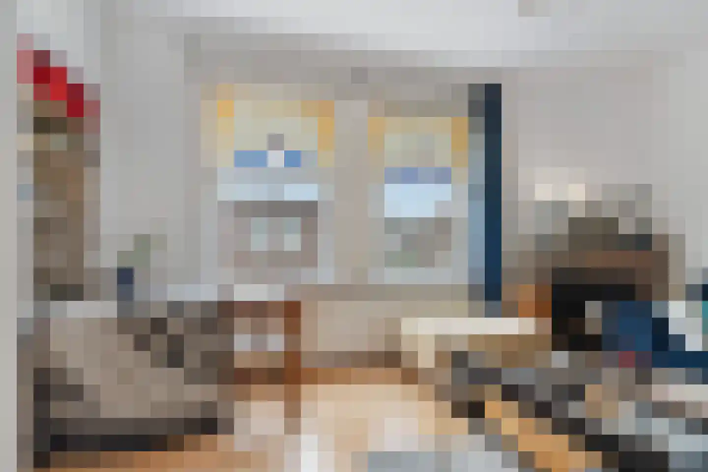 Isingstraat 199 Den Haag thumbnail 7