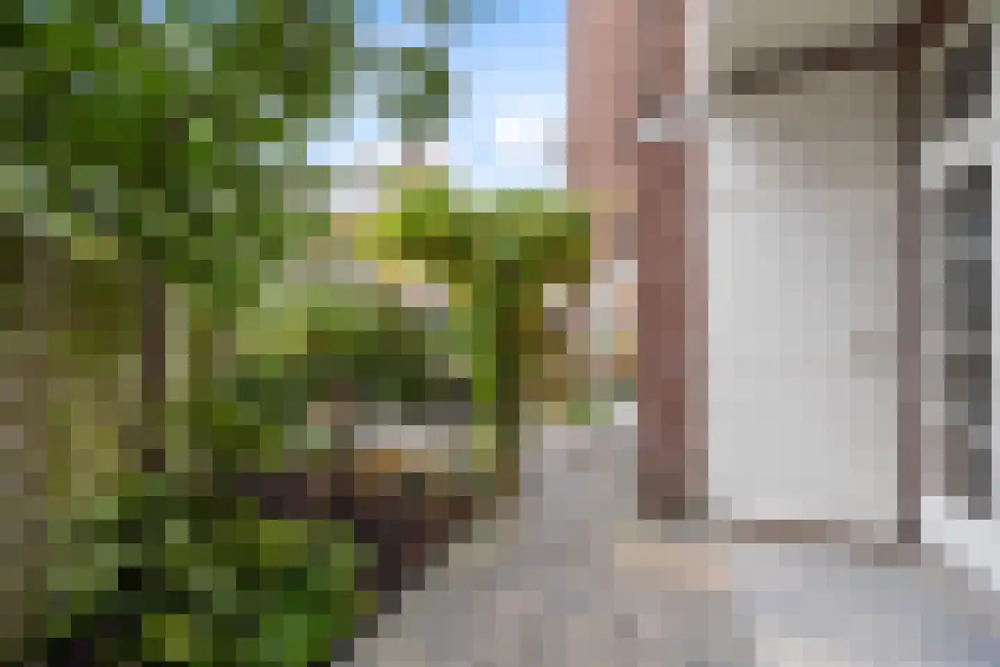 Isingstraat 202 Den Haag thumbnail 24