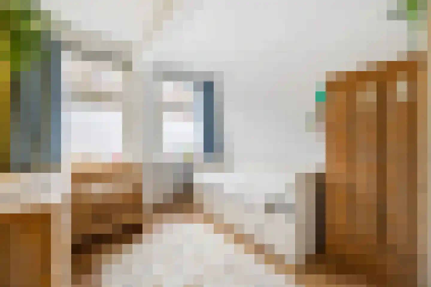 Isingstraat 202 Den Haag thumbnail 31