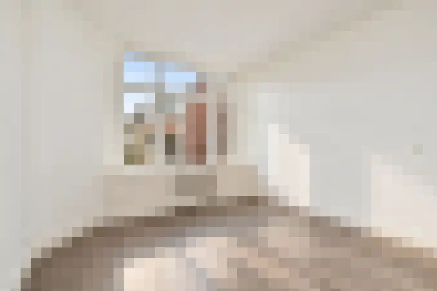 Isingstraat 210 Den Haag thumbnail 22
