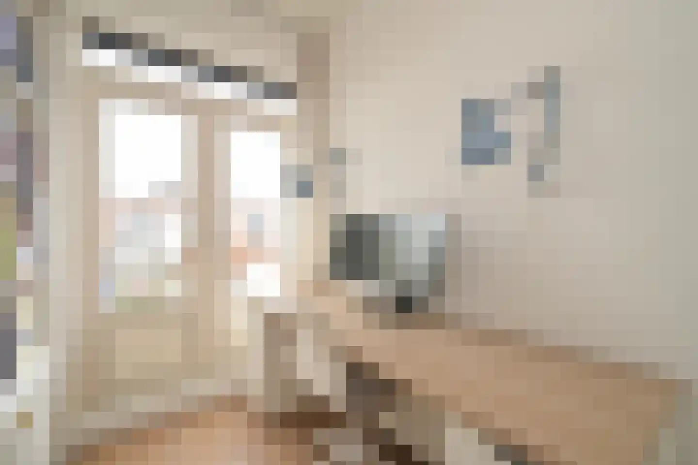 Isingstraat 23 Den Haag thumbnail 22