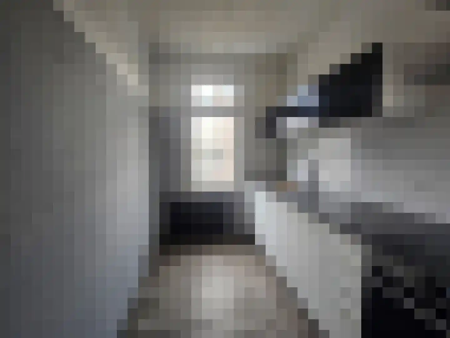 Isingstraat 241 Den Haag thumbnail 9