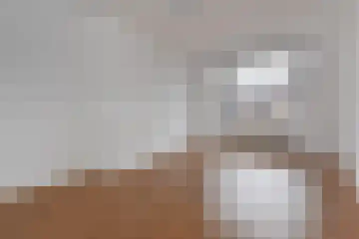 Isingstraat 42 Den Haag thumbnail 8