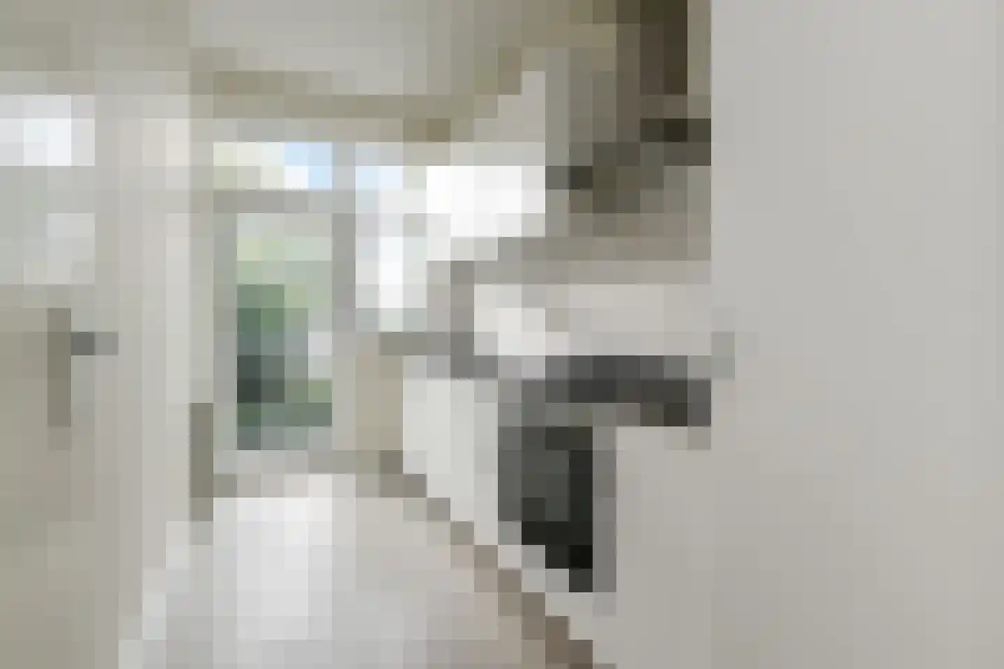 Isingstraat 86 Den Haag thumbnail 10
