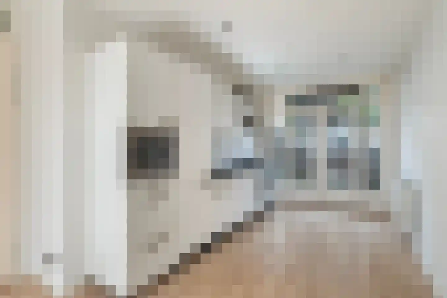 Isingstraat 89 Den Haag thumbnail 6