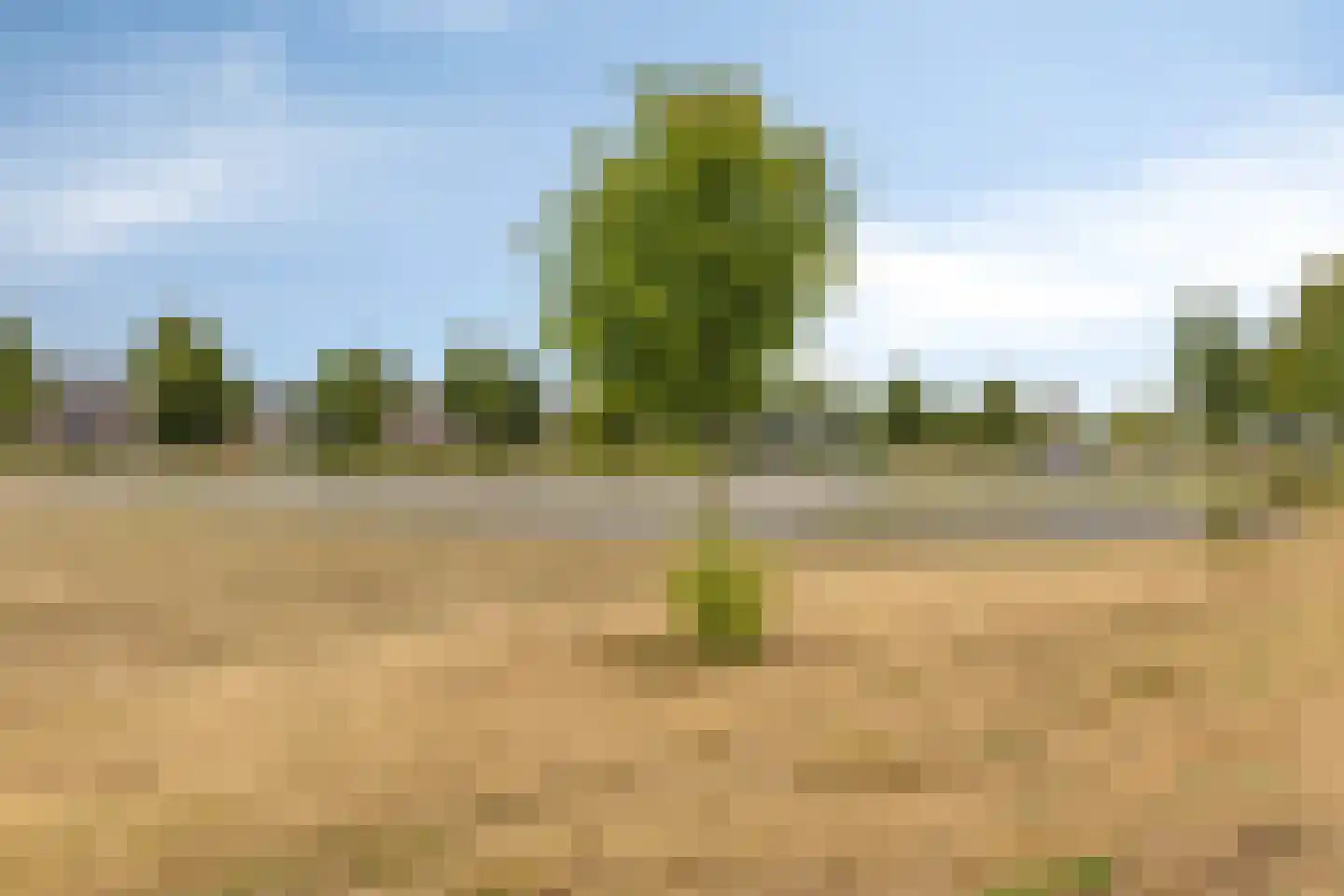 Isisstraat 7 Almere thumbnail 45
