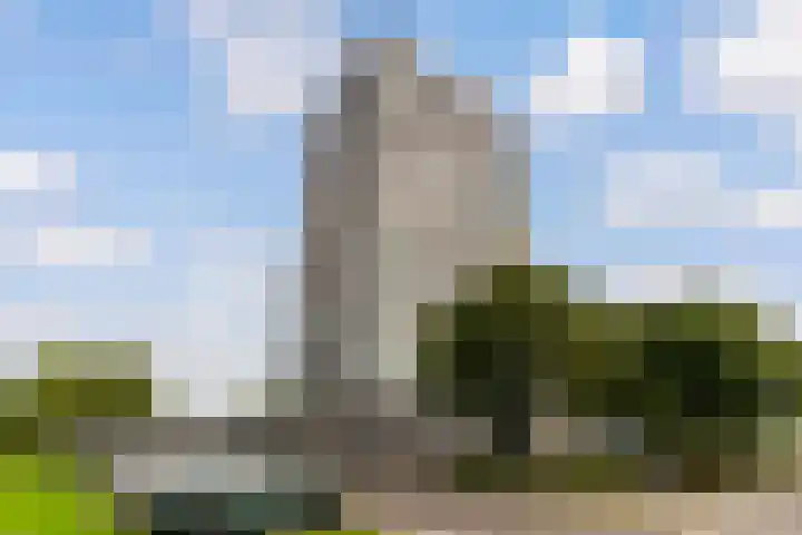Isla Margaritastraat 103 Almere thumbnail 46