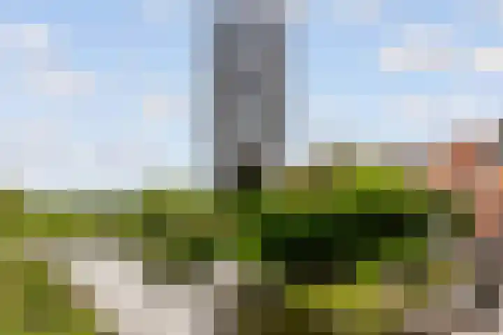 Isla Margaritastraat 103 Almere thumbnail 47