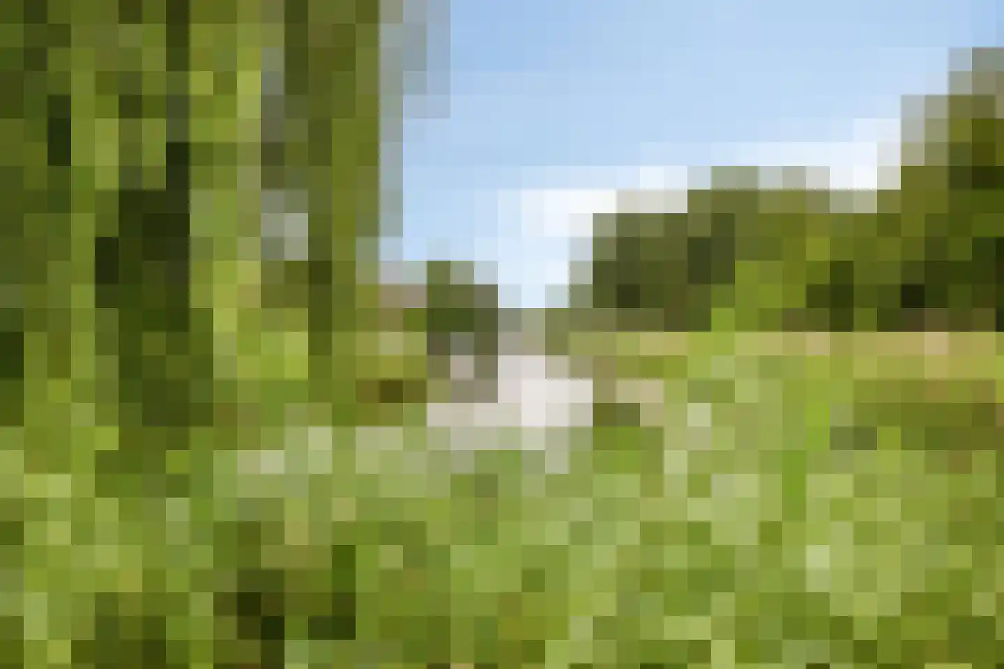 Isla Margaritastraat 107 Almere thumbnail 31