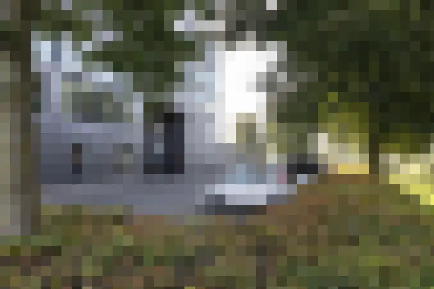 Isla Margaritastraat 17 Almere thumbnail 18