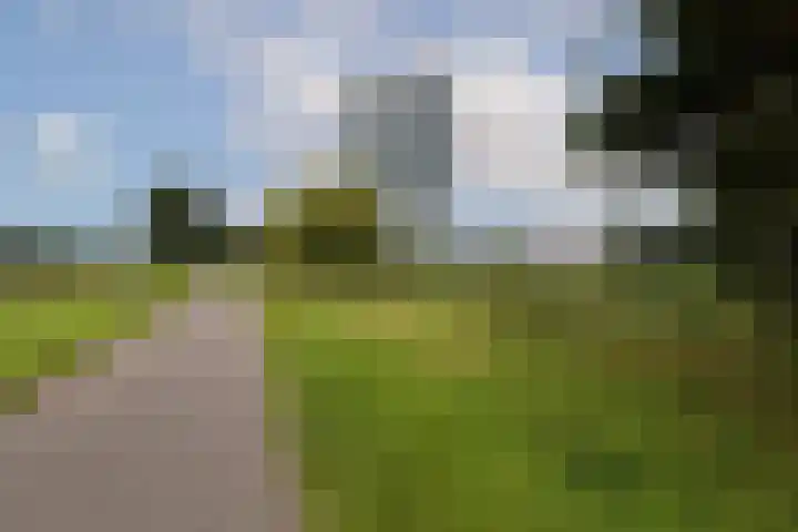 Isla Margaritastraat 31 Almere thumbnail 4