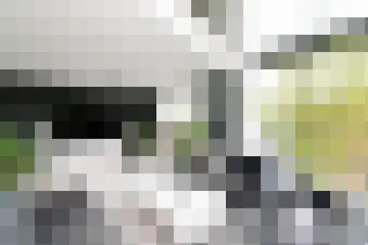 Isla Margaritastraat 31 Almere thumbnail 45
