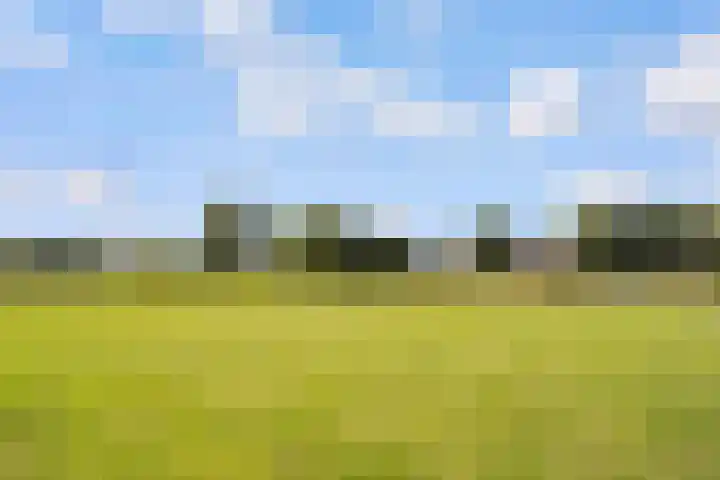 Isla Margaritastraat 51 Almere thumbnail 70
