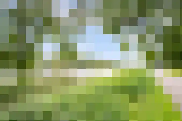 Isla Margaritastraat 51 Almere thumbnail 73