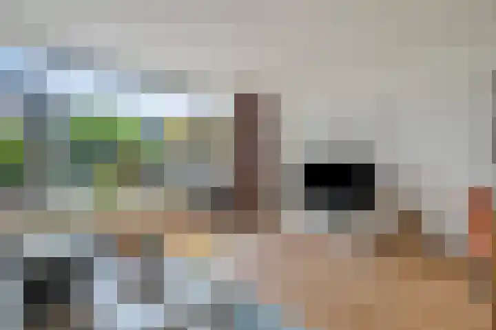 Ismailiastraat 21 Purmerend thumbnail 12
