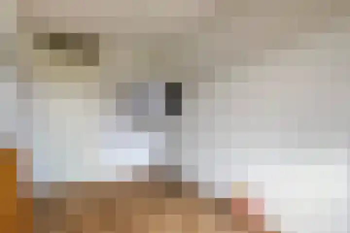 Ismailiastraat 21 Purmerend thumbnail 28