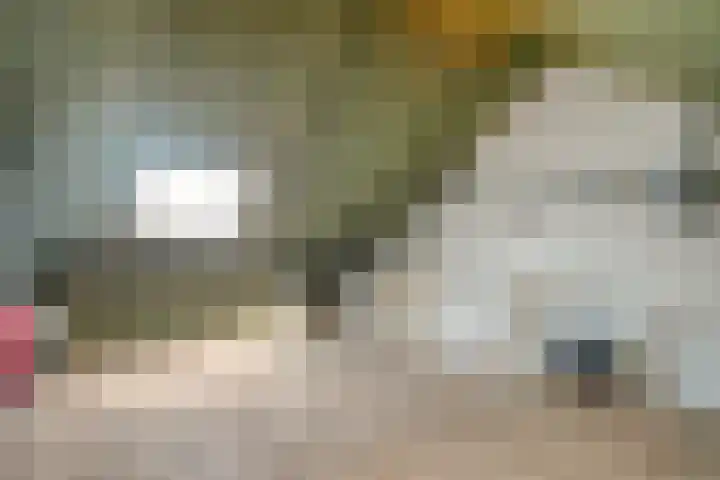 Ismailiastraat 21 Purmerend thumbnail 29