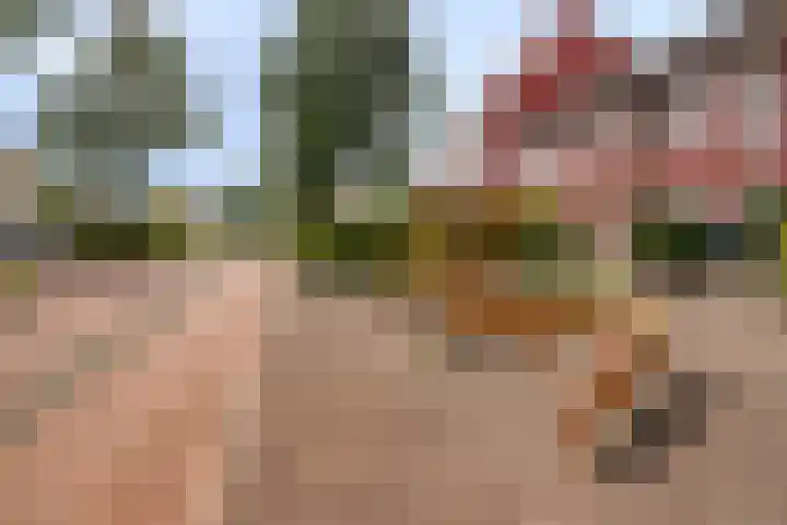 Ismailiastraat 21 Purmerend thumbnail 39