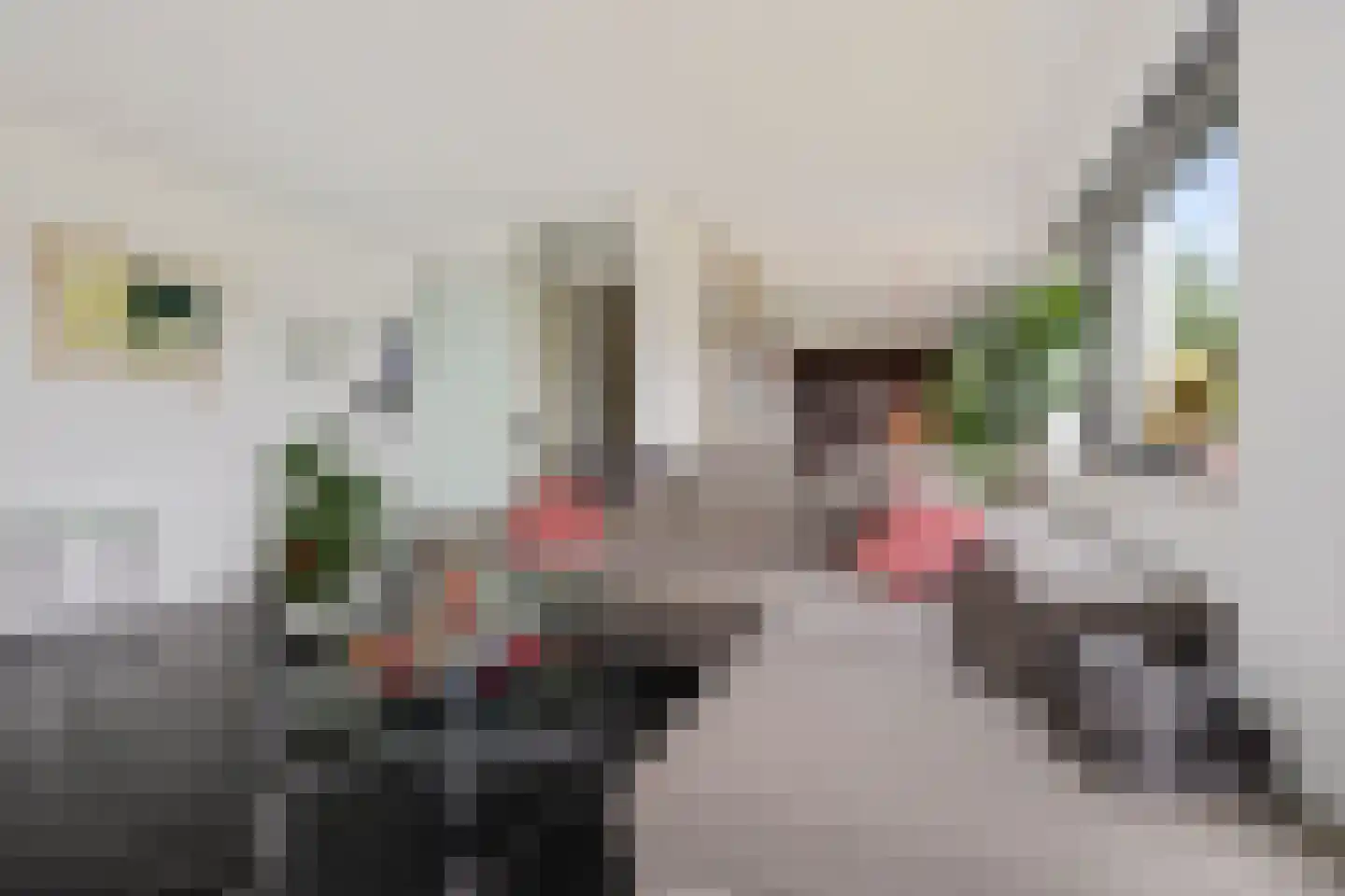 Ismailiastraat 56 Purmerend thumbnail 18