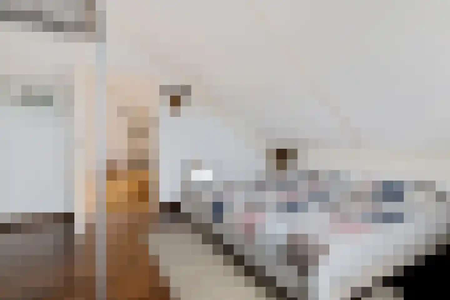 Ismailiastraat 56 Purmerend thumbnail 34