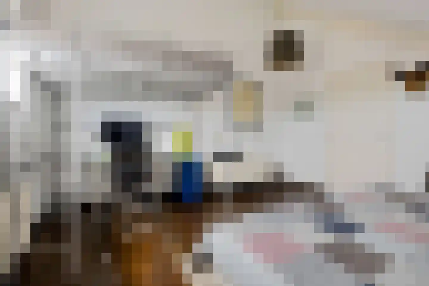 Ismailiastraat 56 Purmerend thumbnail 37
