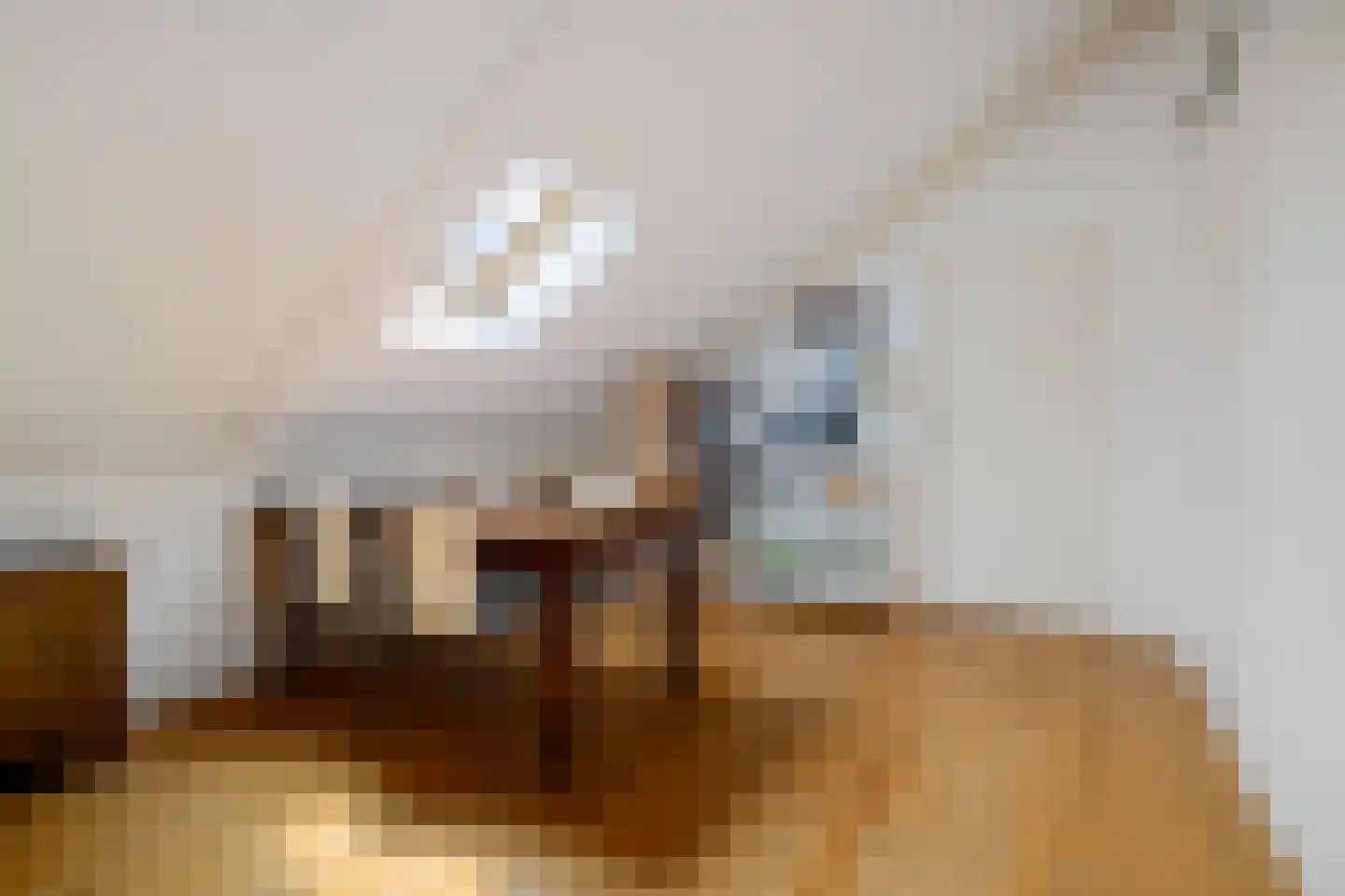 Ismailiastraat 56 Purmerend thumbnail 38