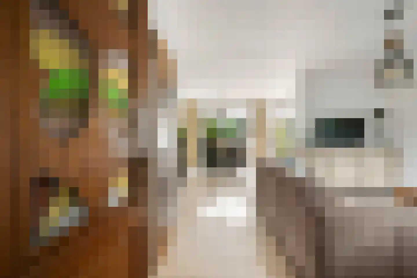 Isolde 3 Nieuwegein thumbnail 12