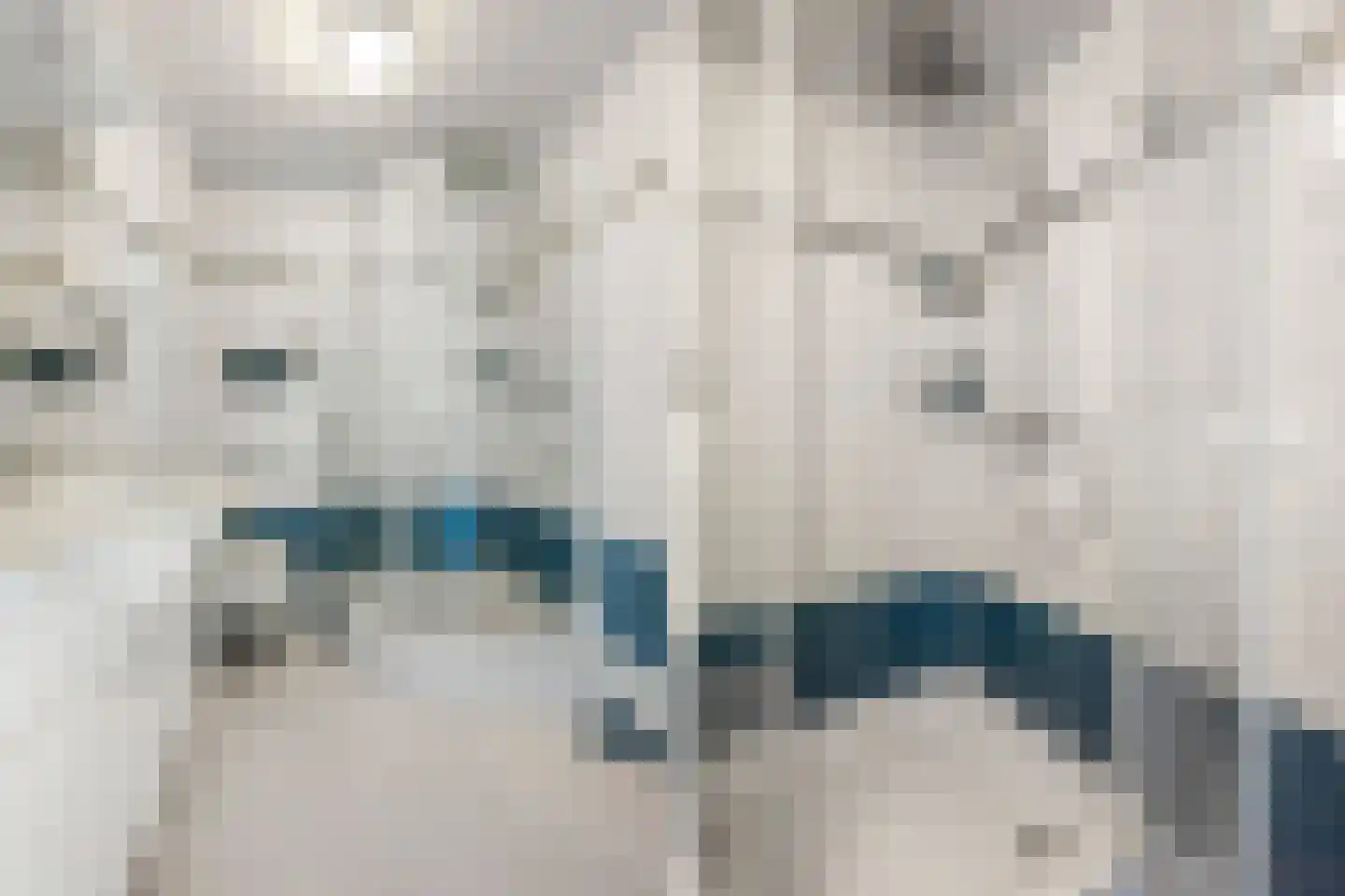 Isolde 3 Nieuwegein thumbnail 5