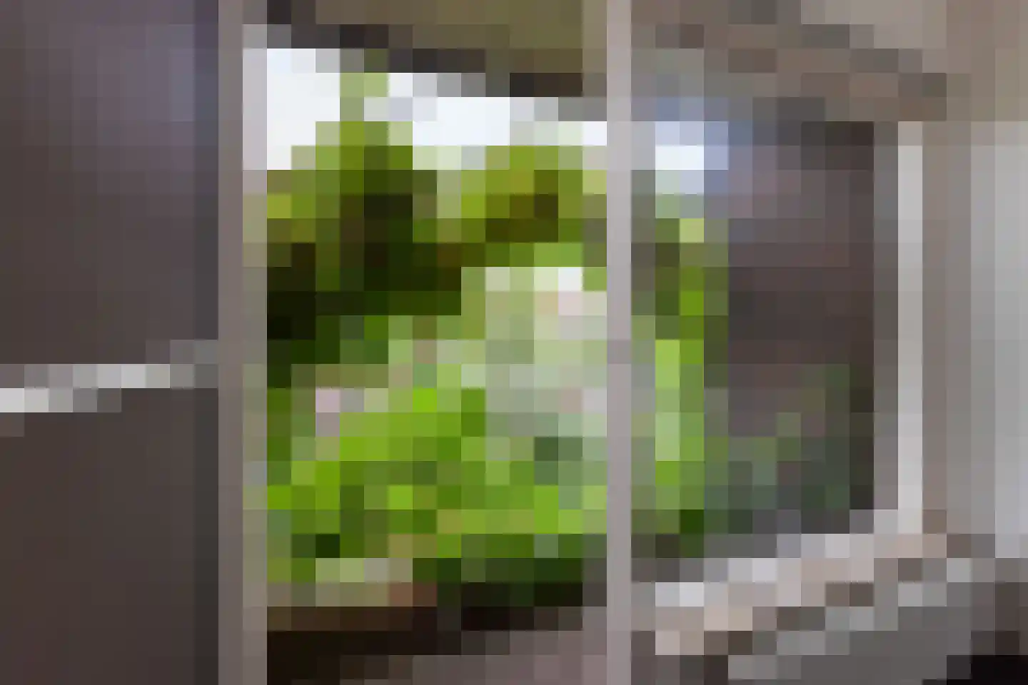 Isoldestraat 2 Gouda thumbnail 35