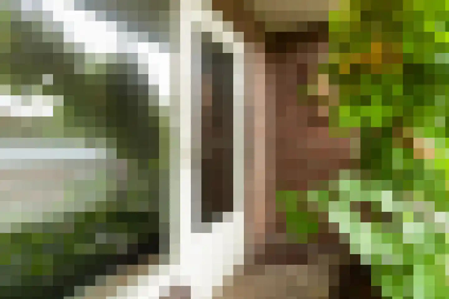 Isoldestraat 2 Gouda thumbnail 37