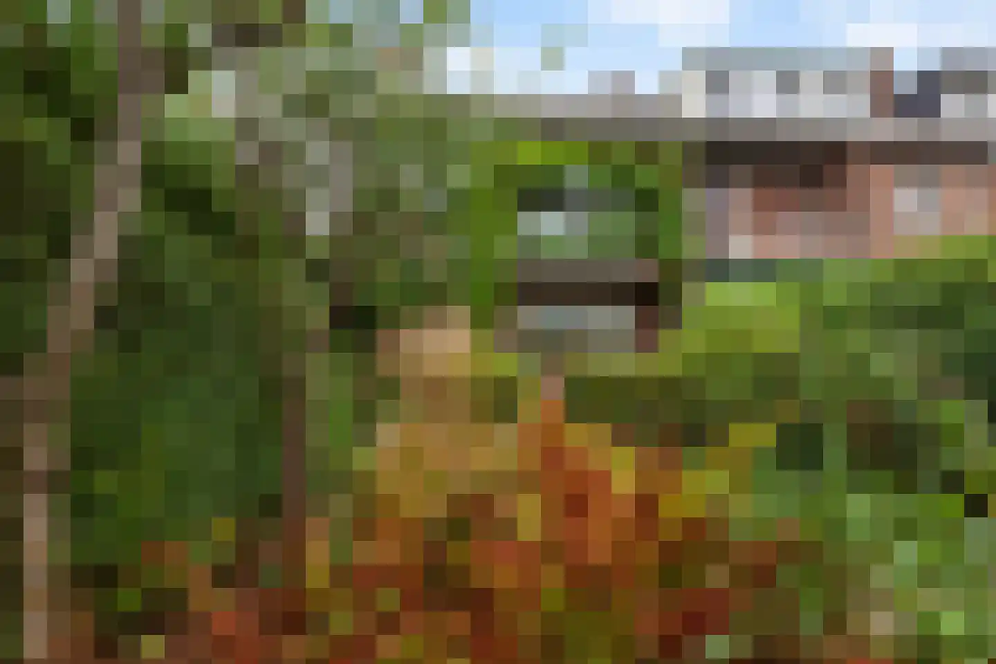 Isoldestraat 2 Gouda thumbnail 4