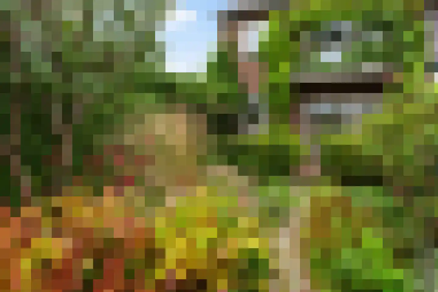 Isoldestraat 2 Gouda thumbnail 48