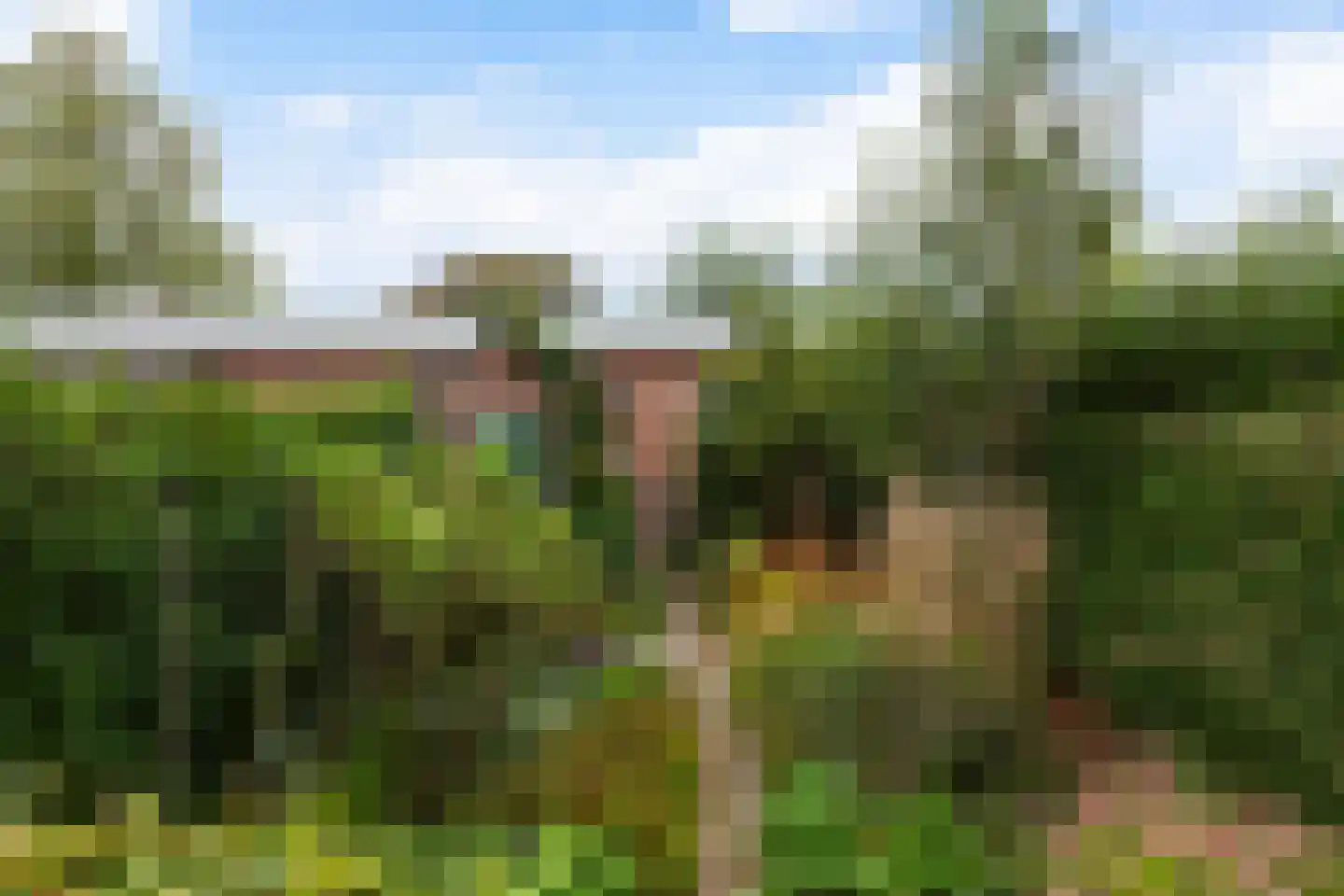 Isoldestraat 2 Gouda thumbnail 50