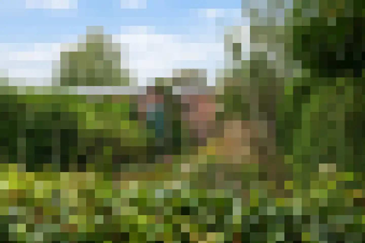 Isoldestraat 2 Gouda thumbnail 52