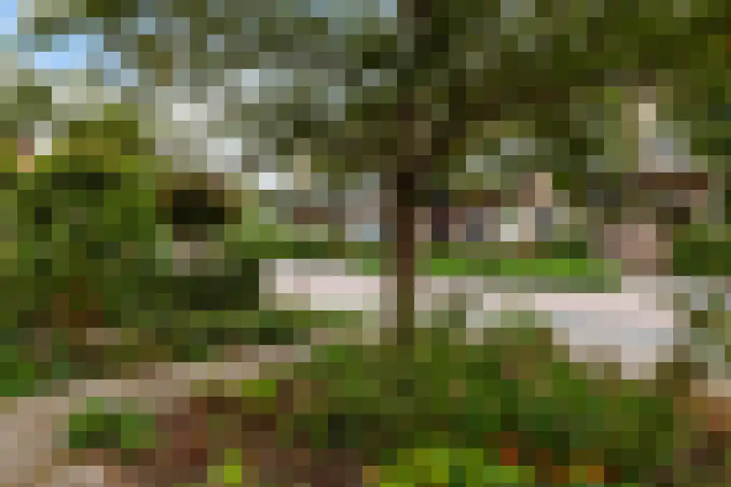 Isoldestraat 2 Gouda thumbnail 54