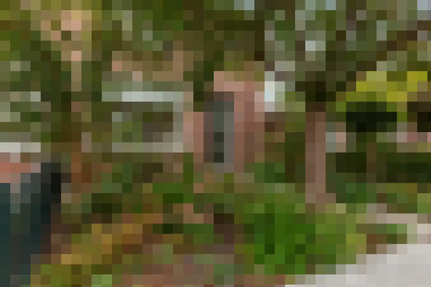 Isoldestraat 2 Gouda thumbnail 56
