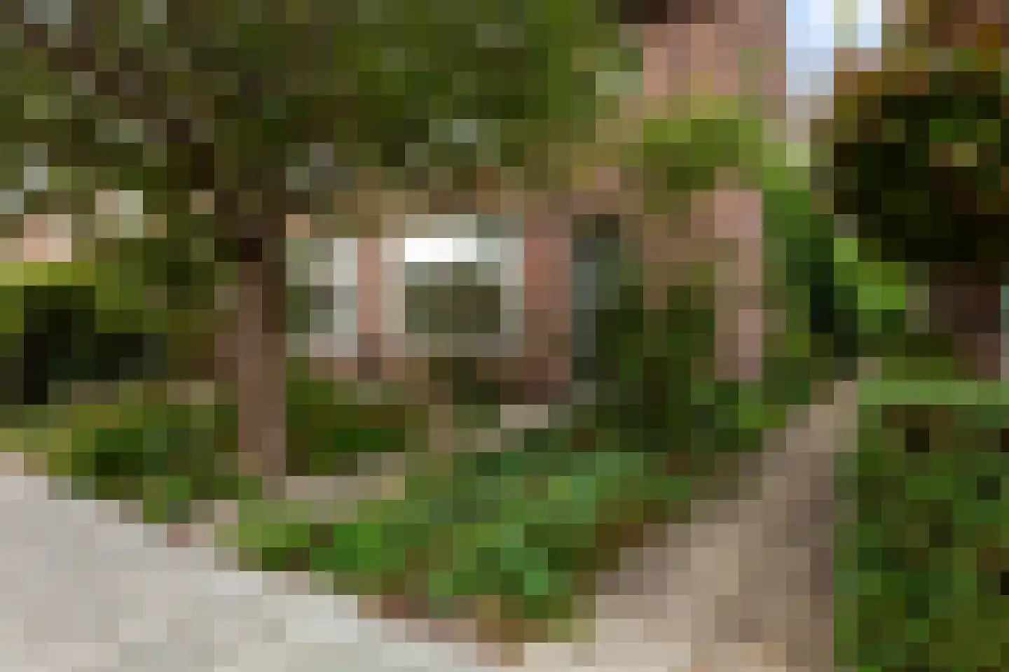 Isoldestraat 2 Gouda thumbnail 57