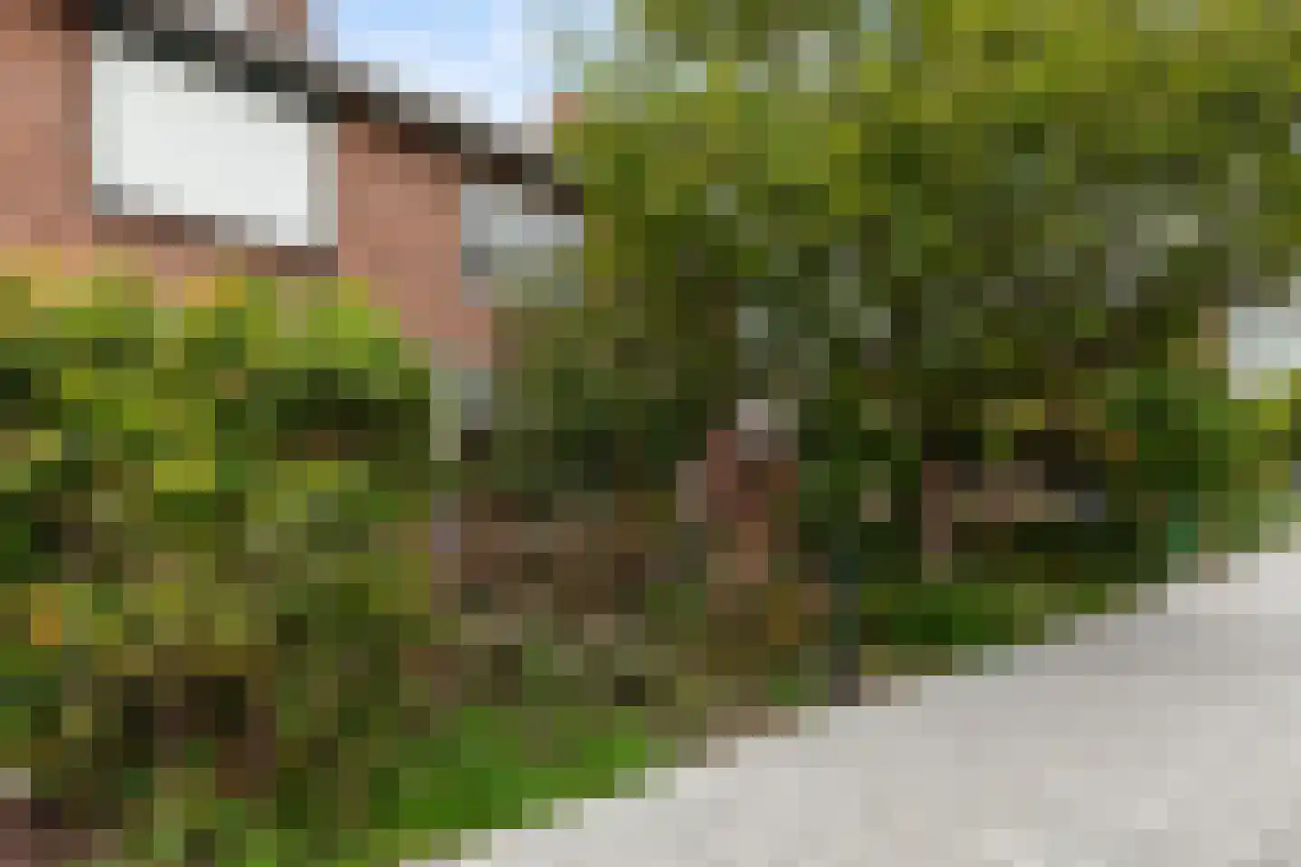 Isoldestraat 2 Gouda thumbnail 58