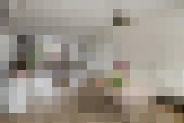 Isoldestraat 9 Hoogvliet Rotterdam thumbnail 11