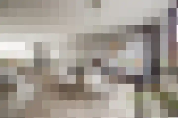 Isoldestraat 9 Hoogvliet Rotterdam thumbnail 12