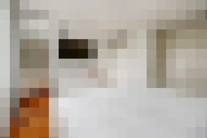 Isoldestraat 9 Hoogvliet Rotterdam thumbnail 18