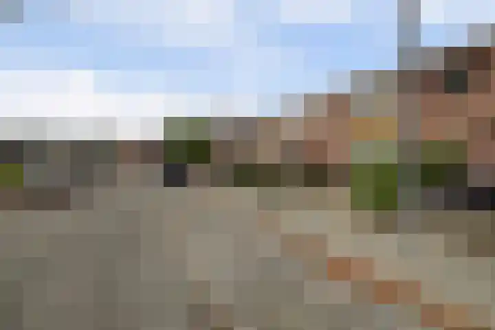 Isoldestraat 9 Hoogvliet Rotterdam thumbnail 30