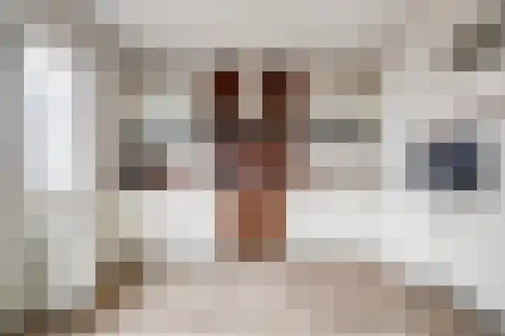 Isoldestraat 9 Hoogvliet Rotterdam thumbnail 4