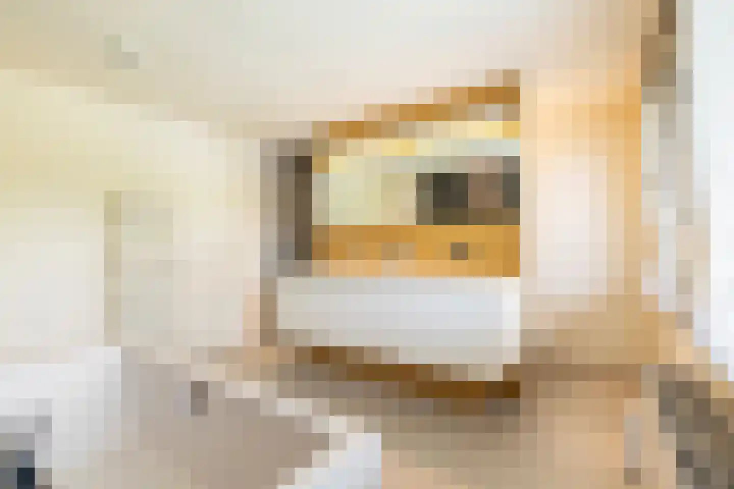 Ispralaan 6 Abbega thumbnail 13
