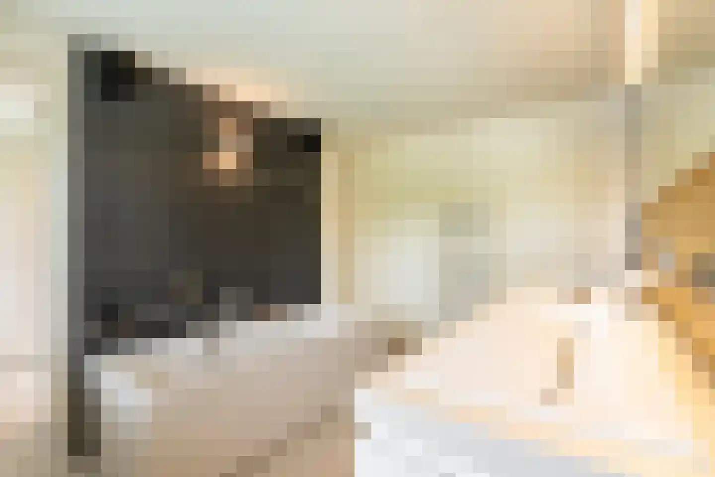 Ispralaan 6 Abbega thumbnail 14