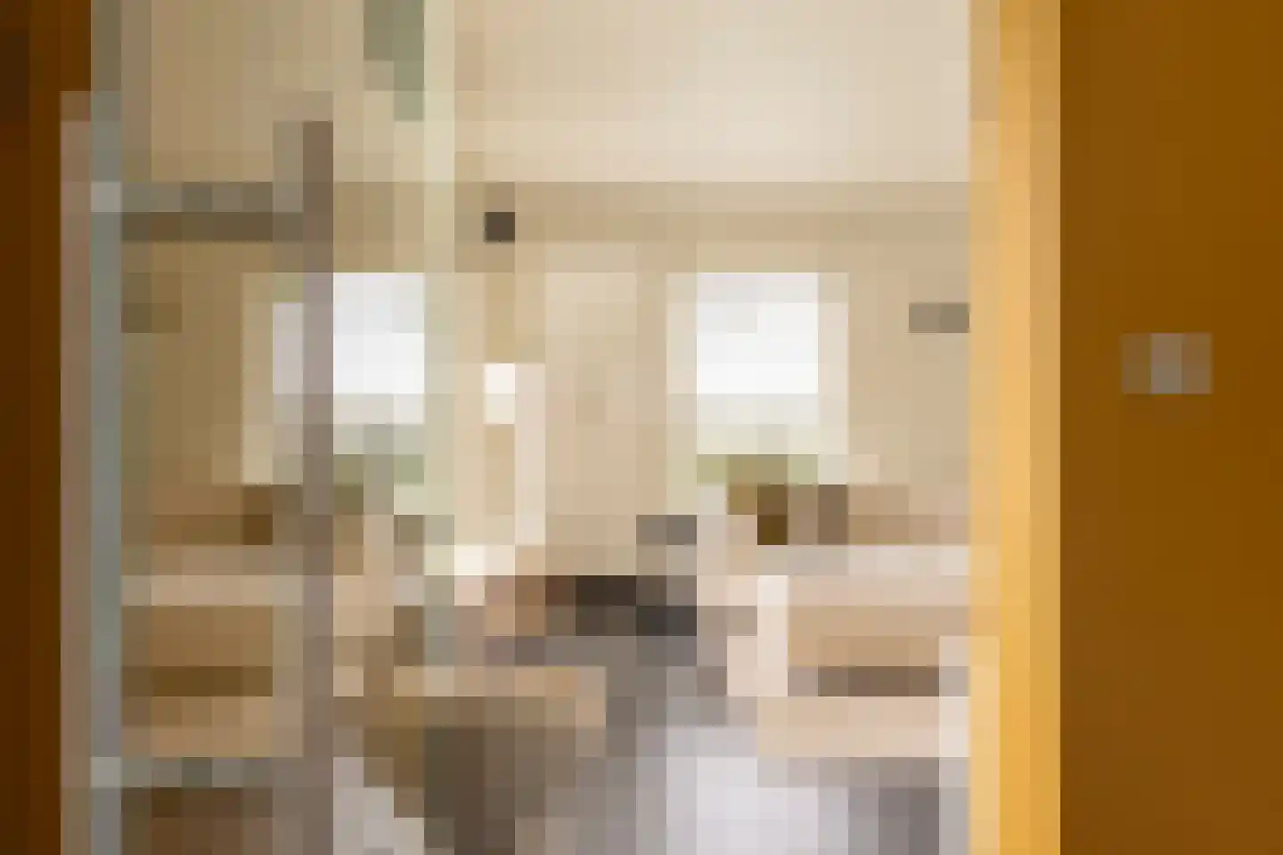 Ispralaan 6 Abbega foto 3